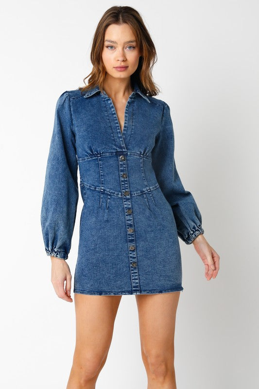 Fowler Button Up Denim Dress