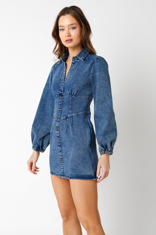Fowler Button Up Denim Dress