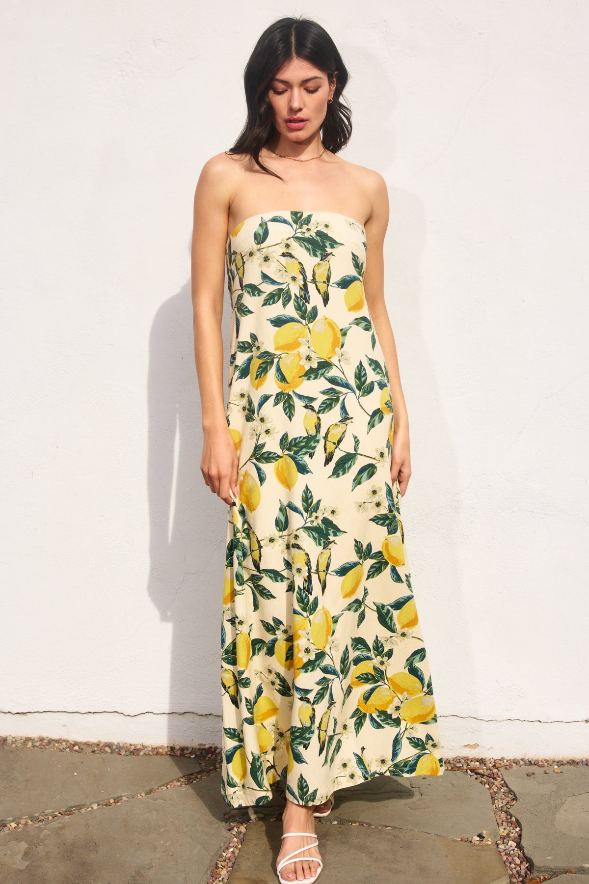 Limoncello Linen Strapless Maxi Dress – JamesC Boutique