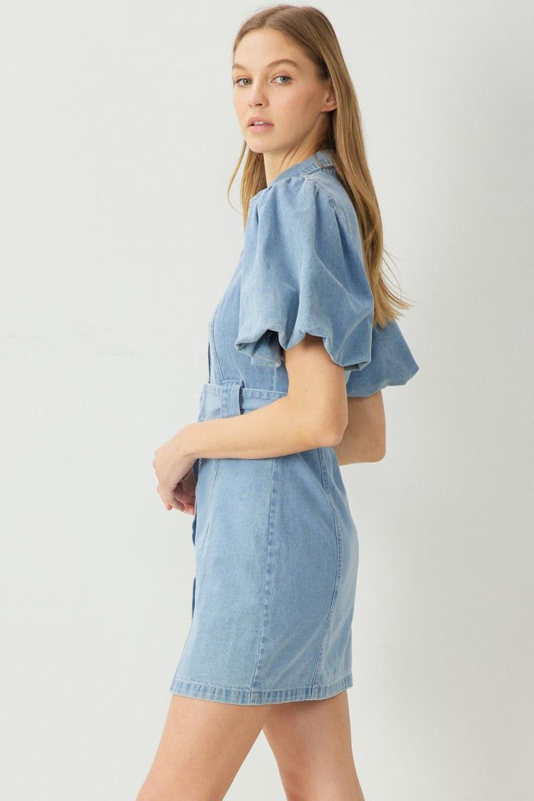 Dylan Puff Sleeve Denim Dress