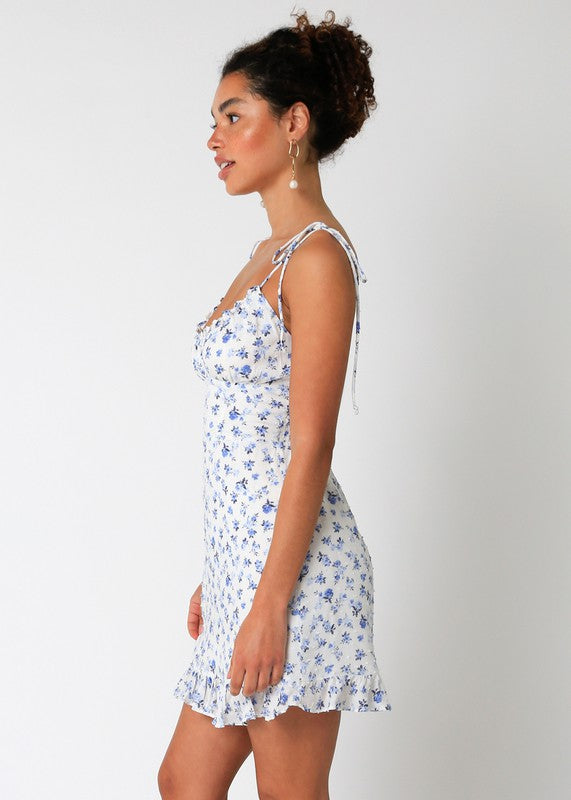 Poppy Floral Dress in Blue/White