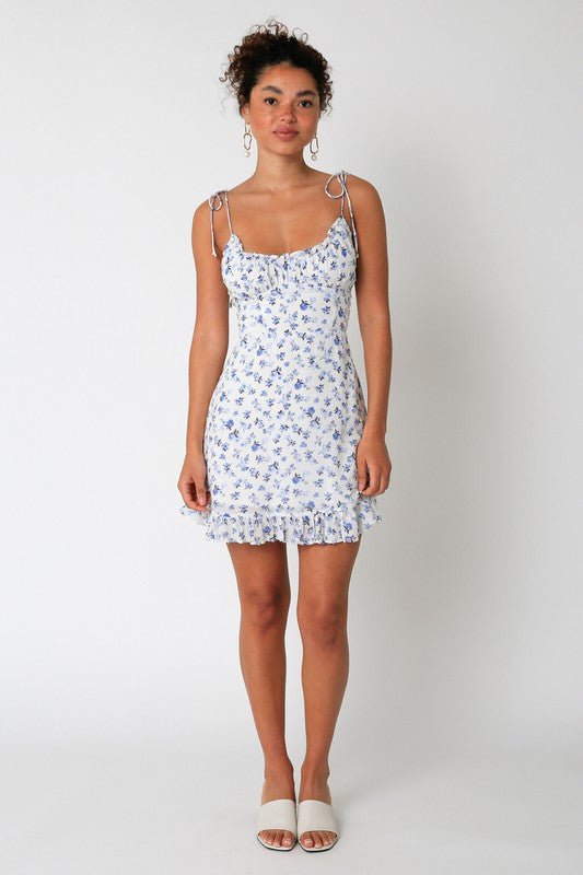 Poppy Floral Dress in Blue/White