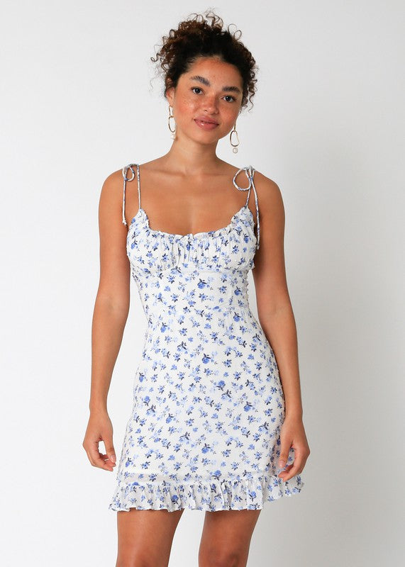 Poppy Floral Dress in Blue/White