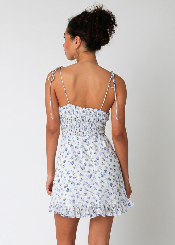 Poppy Floral Dress in Blue/White