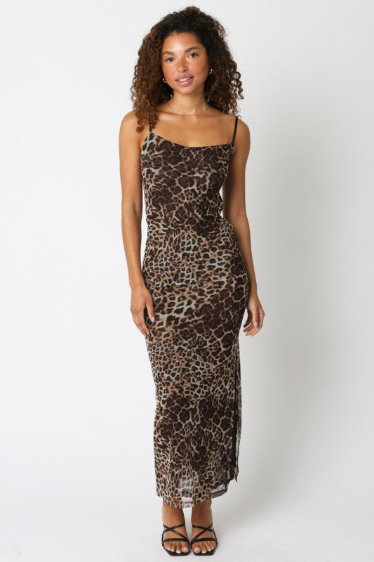 Celine Leopard Mesh Dress