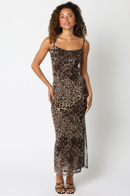 Celine Leopard Mesh Dress