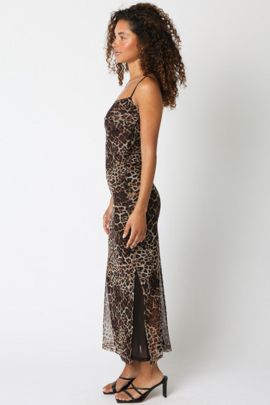 Celine Leopard Mesh Dress